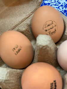 Newcomb Farm Fresh Eggs —Boutique Style
